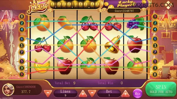 Cassino ao vivo da pxxbet com dealers reais